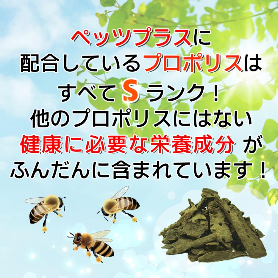 レビューで送料無料 犬専用サプリメント ペッツプラス プレミアムストマック おなかの健康維持をサポート Wantannas Go Id