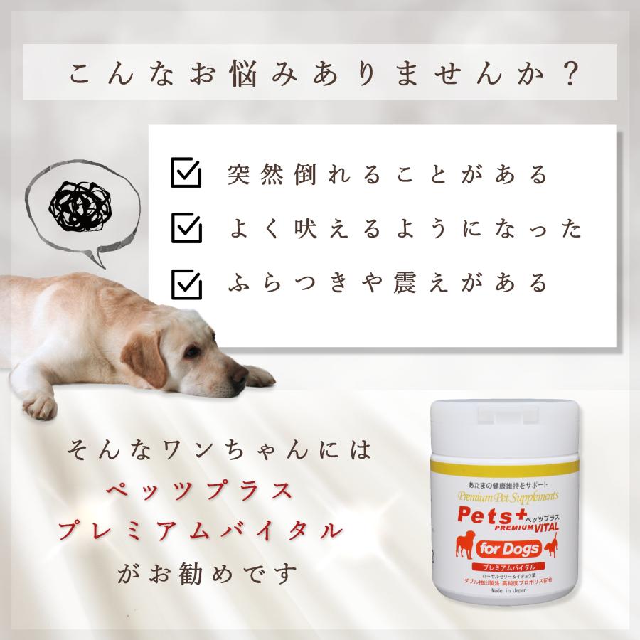 犬専用サプリメント ペッツプラス プレミアムバイタル 〜あたまの健康維持をサポート〜｜pmall｜02