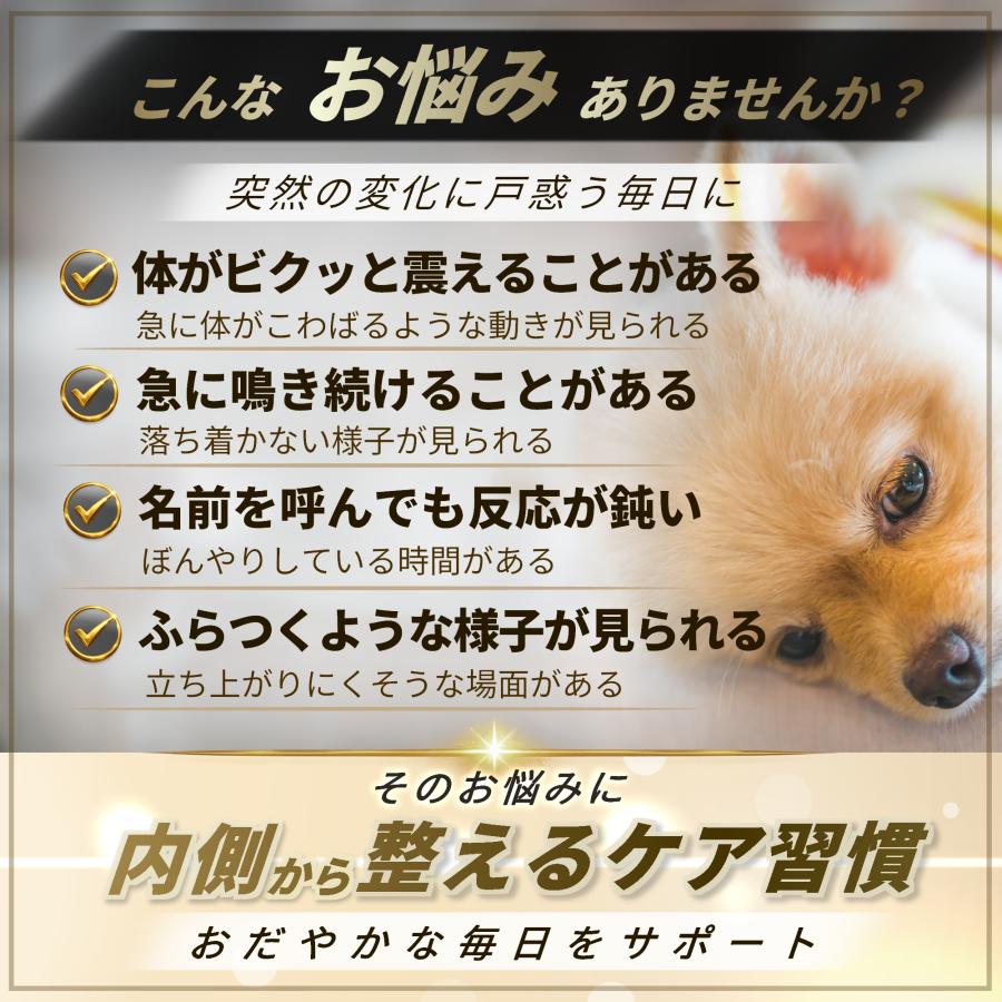 断捨離さま専用です　Pets + ペッツプラス プレミアムバイタル Pets+（ペッツプラス） 犬 サプリメント 脳 心臓 ケア 国産 プロポリス