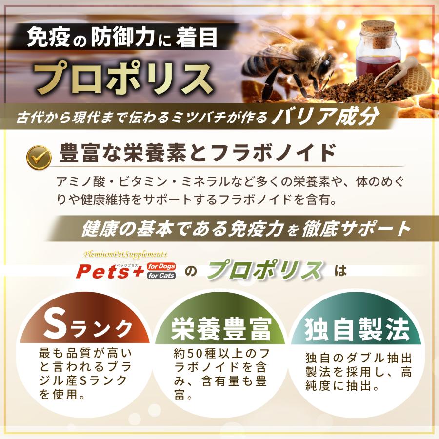 Pets+（ペッツプラス） プレミアムバイタル 犬 脳 サプリ おだやか