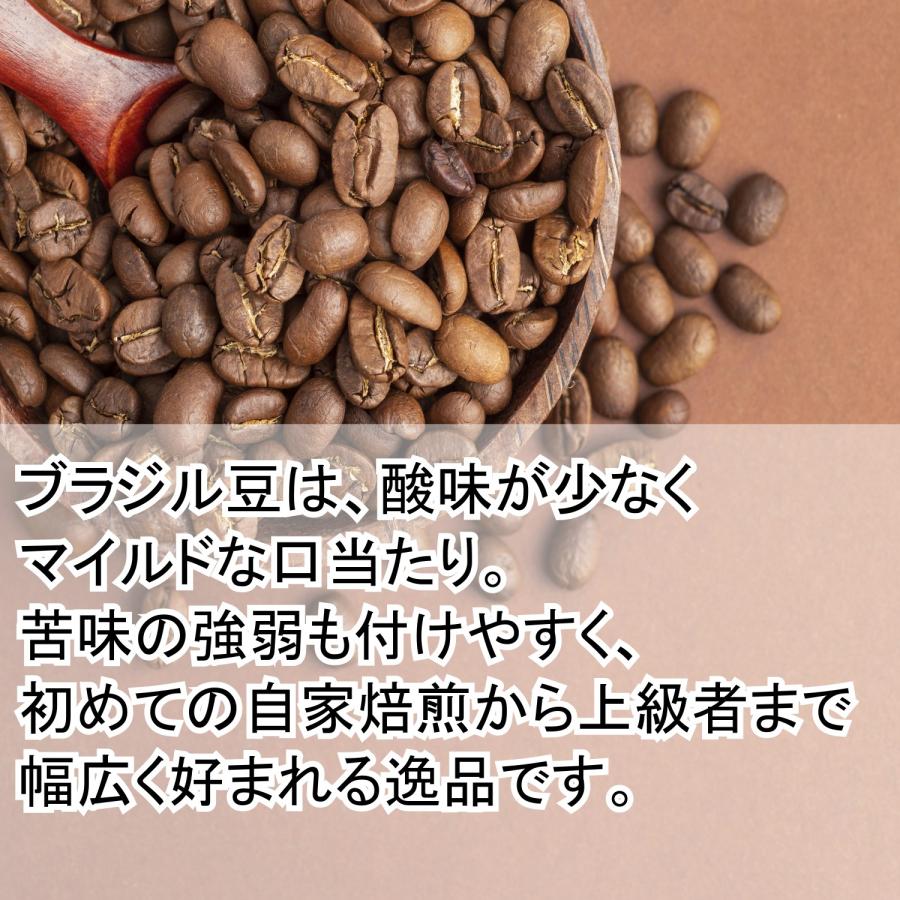 【お試し特価】コーヒー生豆 ブラジル アラビカ セラード ナチュラル 100g｜pmart｜04