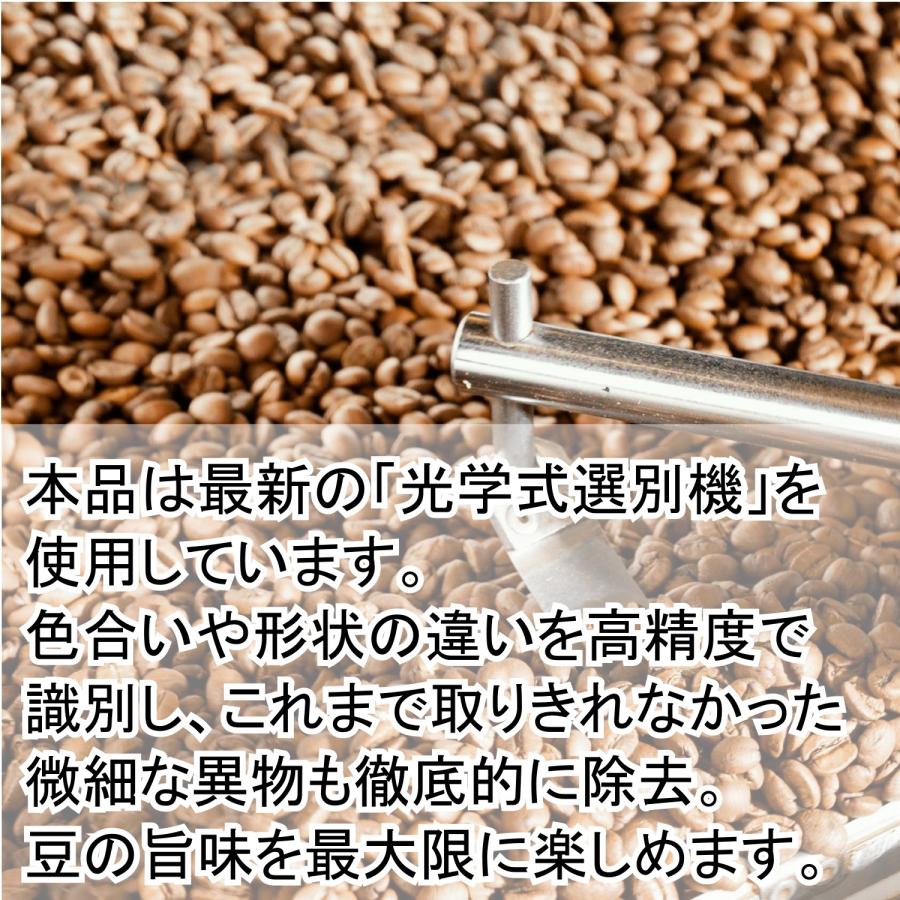 【お試し特価】コーヒー生豆 ブラジル アラビカ セラード ナチュラル 100g｜pmart｜02