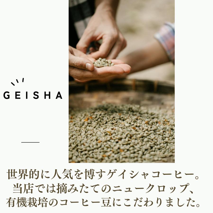 新摘みゲイシャ コーヒー生豆 エチオピア 1kg 焙煎 珈琲 : 東京