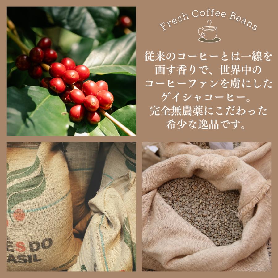 新摘みゲイシャ コーヒー生豆 エチオピア 1kg 焙煎 珈琲 : 東京