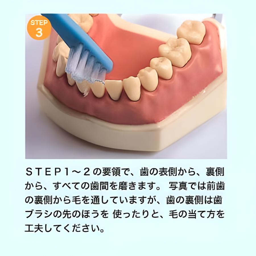 【公式】V7歯ブラシ(お試しセット) 2本組  ふつう つまようじ法　レギュラー コンパクト キャップ付き パステルカラー  pmj ブイセブン　送料無料　 | ピー・エム・ジェー | 06