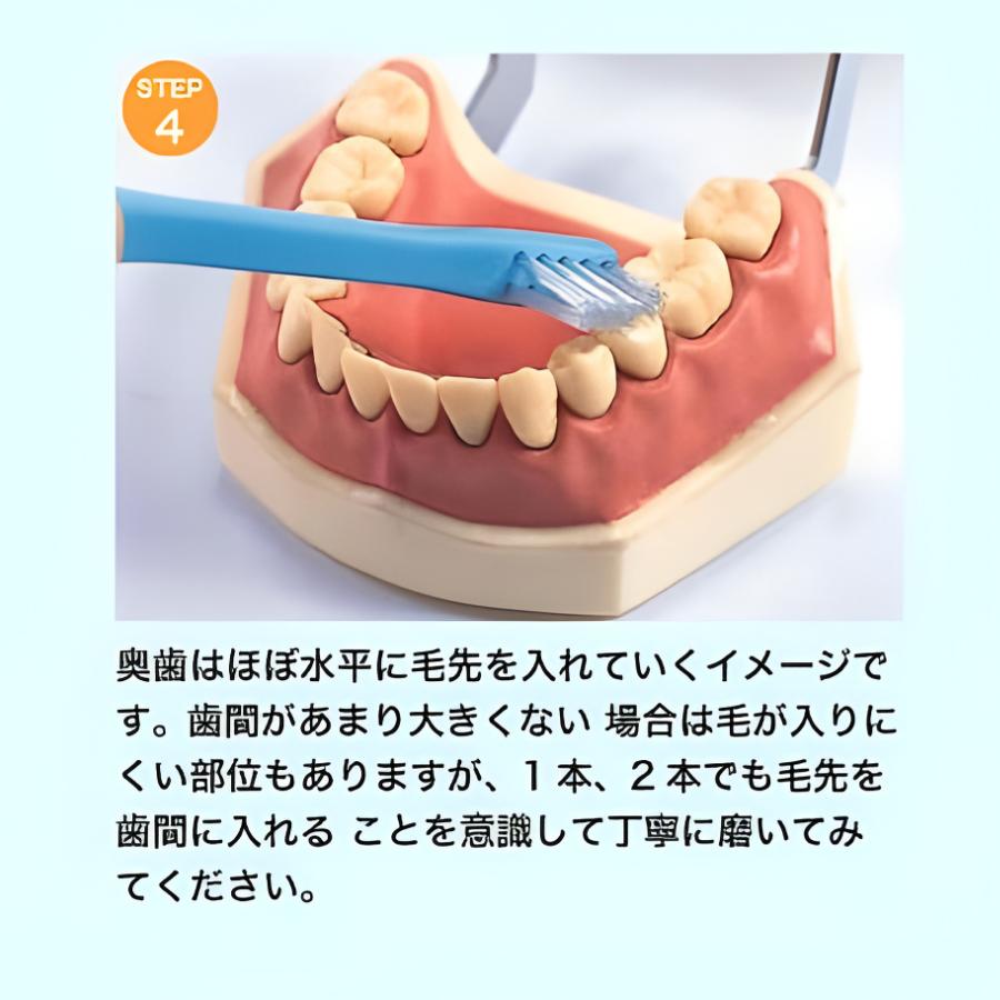 【公式】V7歯ブラシ(お試しセット) 2本組  ふつう つまようじ法　レギュラー コンパクト キャップ付き パステルカラー  pmj ブイセブン　送料無料　 | ピー・エム・ジェー | 07