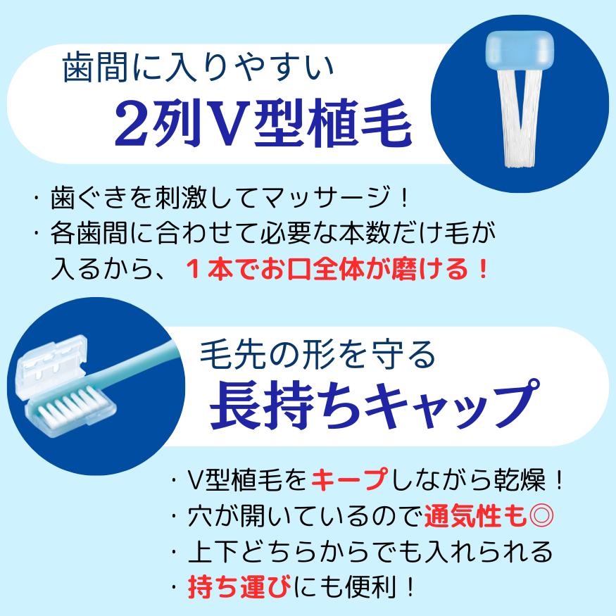 【公式】V7お試しセット2本組「つまようじ法」歯ブラシ　キャップ付　歯周病 歯間ブラシ 歯ぐきマッサージ 送料無料 pmj | ピー・エム・ジェー | 03