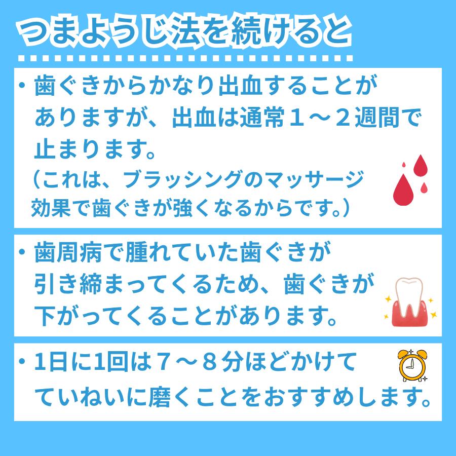 電動歯ブラシ】音波振動歯ブラシV7(ET-V2) キャップ付き pmj