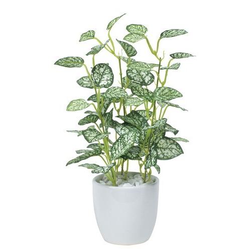 光触媒加工グリーン フラワー2個組 光の楽園 その他 オイル フルード 在庫一覧 光触媒加工グリーン フラワー2個組光の楽園7 14営業日程度 Www Geminicorp Be