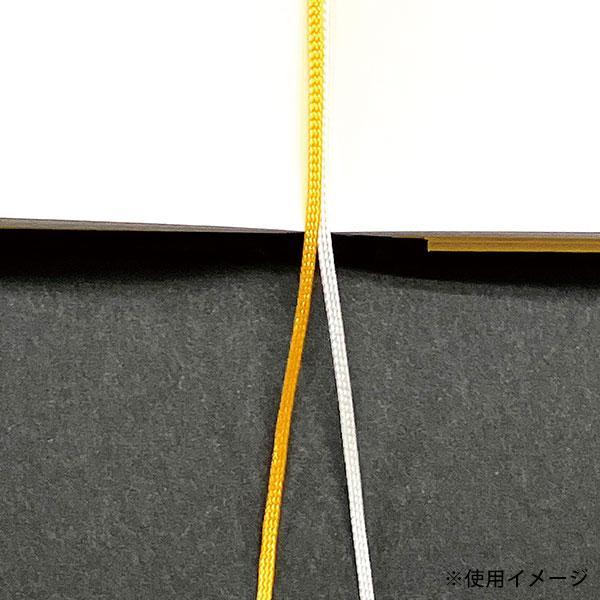 Mnemosyne マルマン A5 ノート ニーモシネ 特殊5mmドット方眼罫 N888 ジャーナルノート ミントグリーン : プレミアム ...
