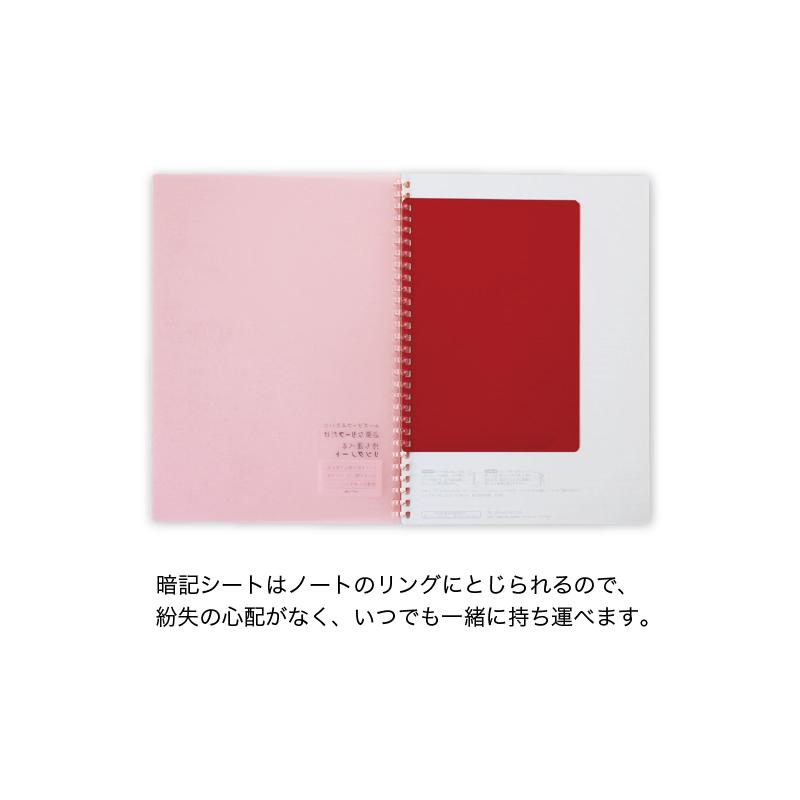 リヒト オープンリングノート+専用リーフセット 数量限定 暗記シート付 ライトブルー SET-272514 B5サイズ B罫 メール便発送 | LIHIT LAB. | 01