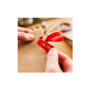 ピータッチ ブラザー工業 ラベルライターピータッチ36mm対応 PT  