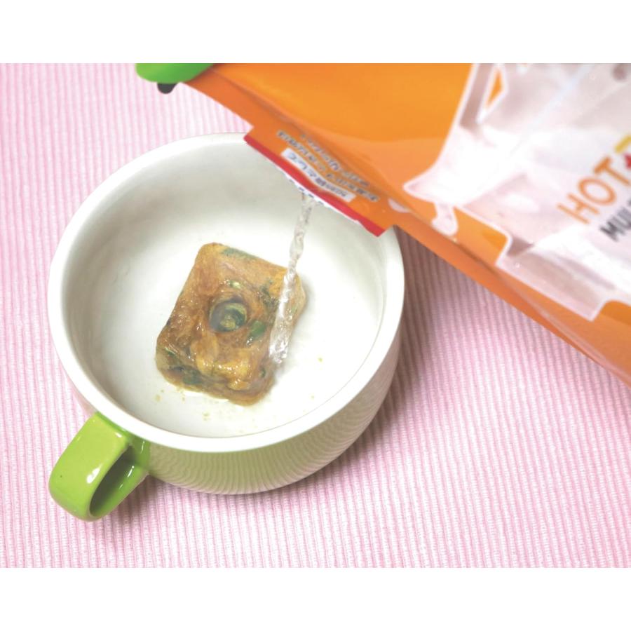 ホットプラス マルチウォームバッグ 発熱剤で食品の温め&湯沸かしができる 発熱剤3個パック アウトドア 登山 防災 災害 |  | 02
