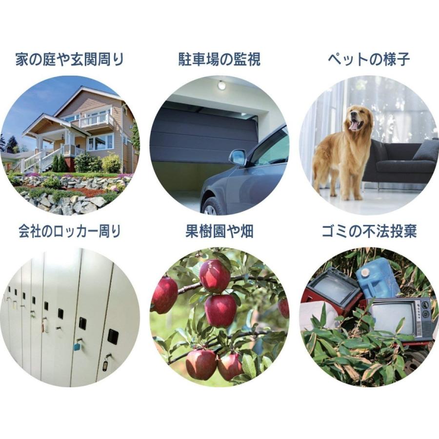 監視カメラ送料無料 一部地域除REVEXリーベックスSDカード録画式液晶画面付センサーカメラSD3000LCD最大100万画素