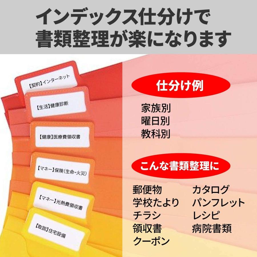 Esselte エセルテ ソーテッド6段 3WAYファイル A4 6ポケット 見出し