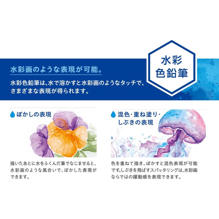 シャチハタ Artline 水彩 色鉛筆 36色 セット 水彩筆付き KCP-W36C/H