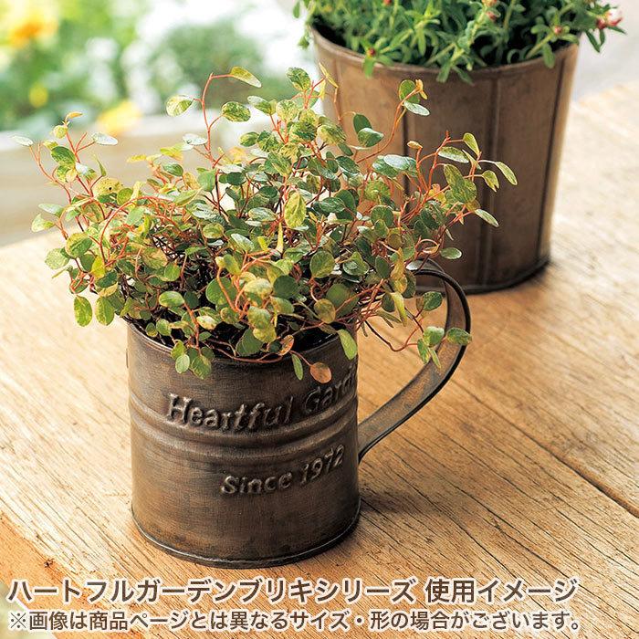 GREEN HOUSE（グリーンハウス） 花筒 花バケツ 花器 おしゃれ ハート 