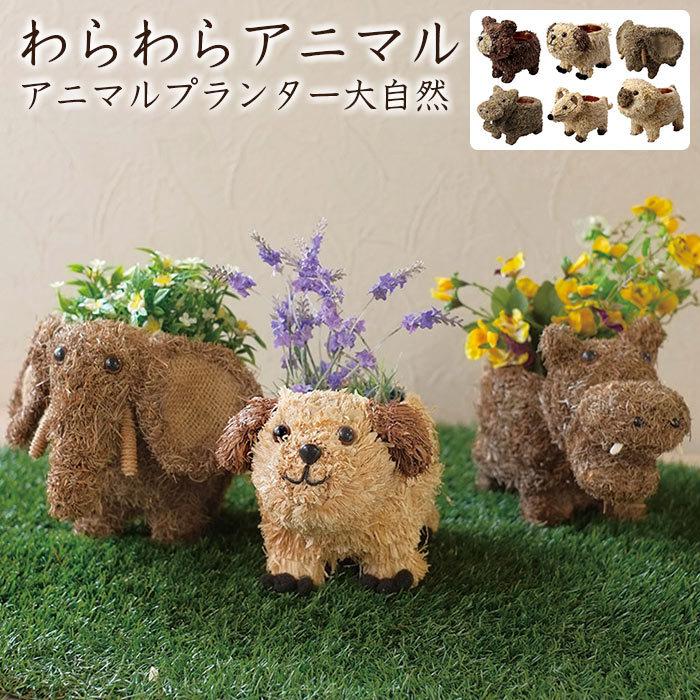 植木鉢 かわいい わらわらアニマル アニマルプランター大自然 クマ イヌ ゾウ カバ ネズミ ブタ Gg ポッチワン 壁紙屋さん 通販 Yahoo ショッピング
