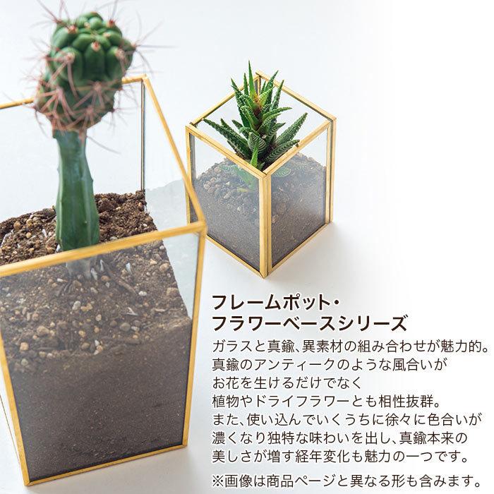 花瓶 おしゃれ フレームフラワーベース ウェーブ 225 Gg ポッチワン 壁紙屋さん 通販 Yahoo ショッピング