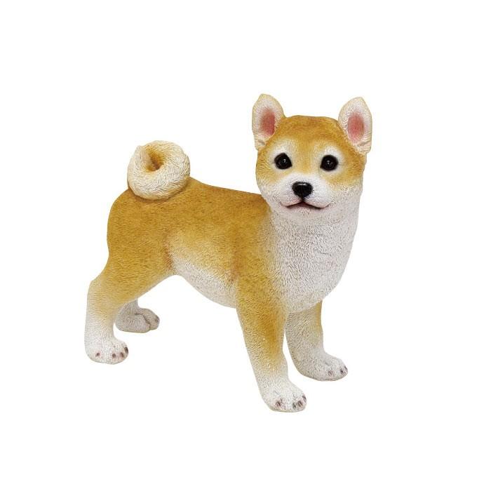 チアフルフレンズ 豆柴のコロ ガーデニング オーナメント Gg7159 ポッチワン 壁紙屋さん 通販 Yahoo ショッピング