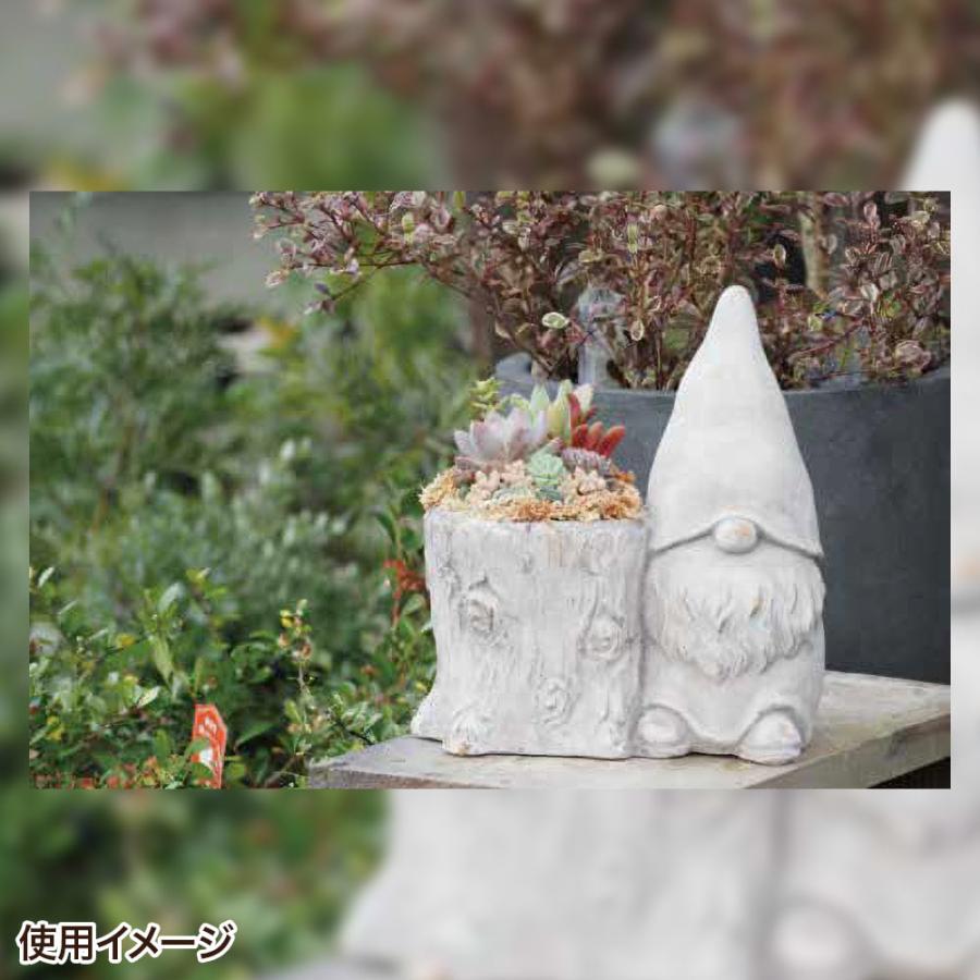 植木鉢 おしゃれ 貝殻型 穴あき セメントポット ドワーフポット