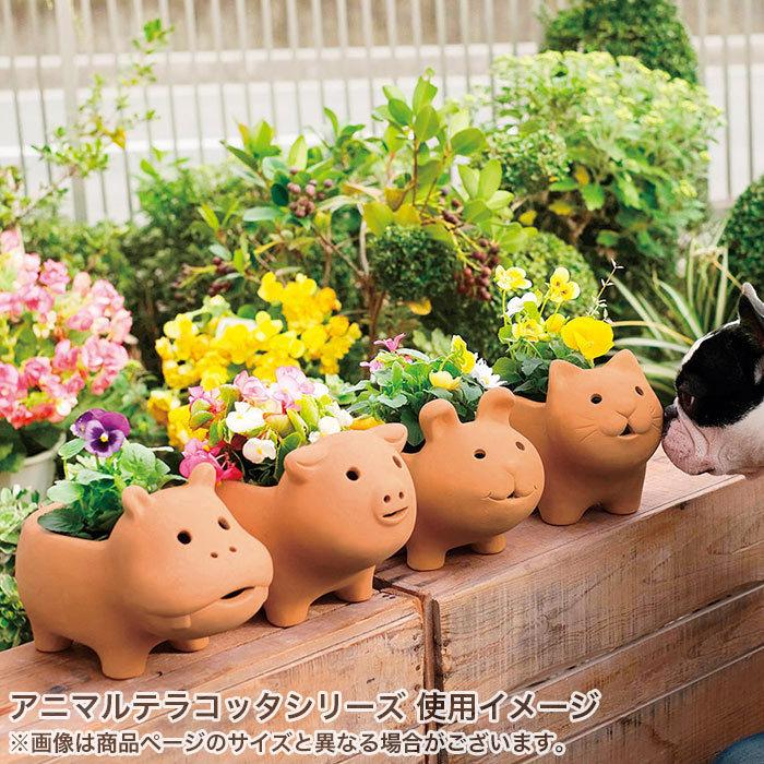 ちびゴリラページ テラコッタ 花模様 植木鉢 20個 新品未使用 ちび