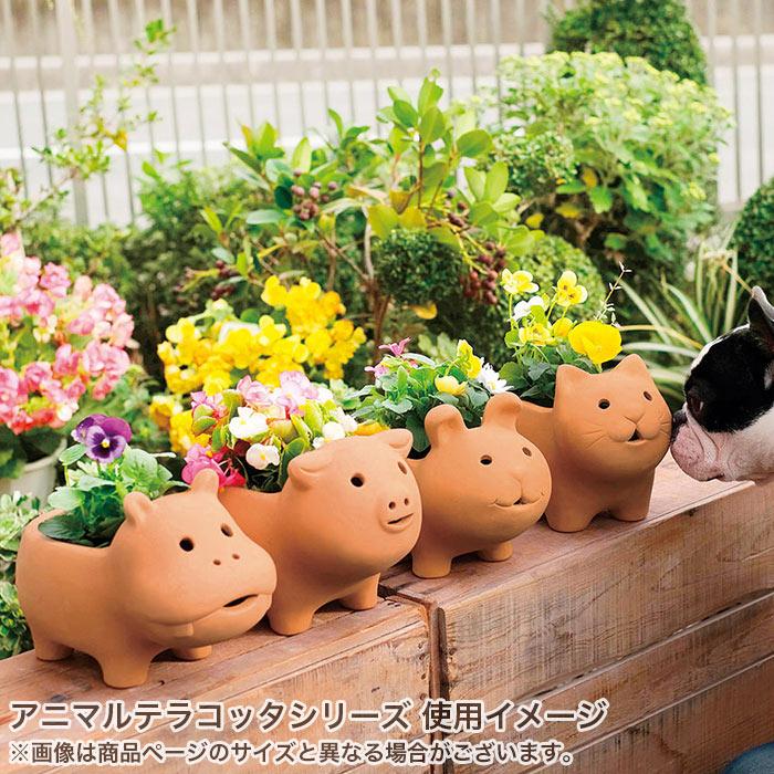 GREEN HOUSE(パソコン) 植木鉢 プランター 素焼き かわいい GREEN HOUSE(パソコン) 植木鉢 プランター 素焼き かわいい