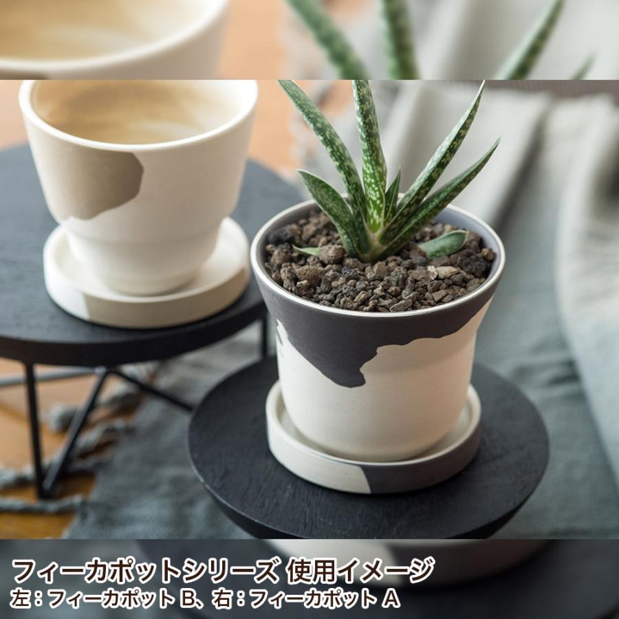 ミルクブッシュ 1 ファイバー鉢 お皿付き ミルクブッシュ☆選べるオシャレなプラ鉢☆鉢皿付き☆ アート