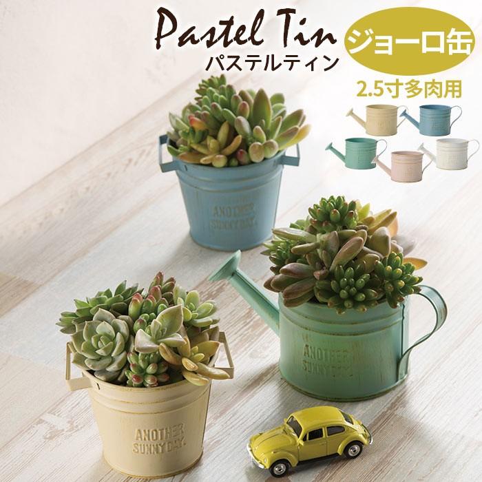 植木鉢 パステルティン 2.5寸多肉用ジョーロ缶｜pocchione-shuno