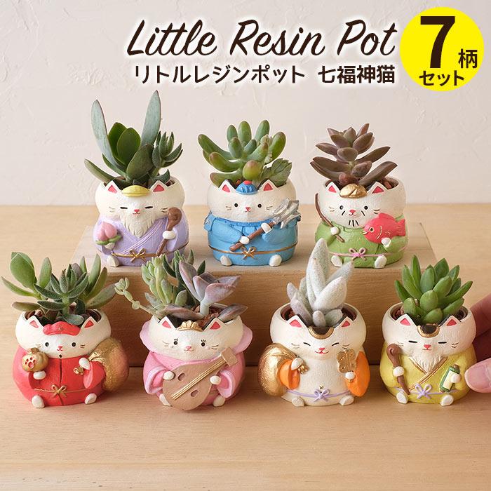 GREEN HOUSE（パソコン） 植木鉢 ミニ かわいい 軽い 正月飾り リトル 