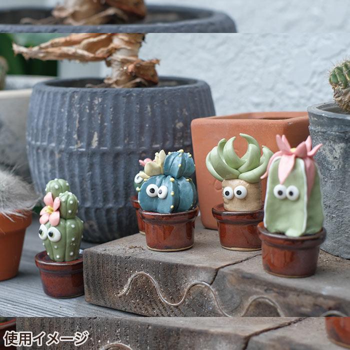 置物 オブジェ オーナメント 飾り かわいい おしゃれ サボテンフレンズ
