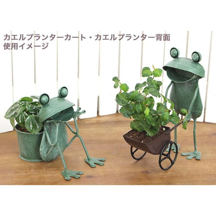 カエル 置物 ブリキ カエルプランター背面 : ポッチワン 収納屋さん