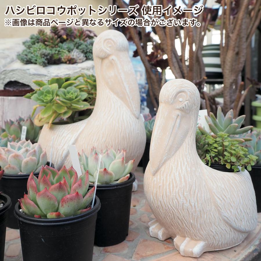 植木鉢 かわいい 穴あき セメントポット ハシビロコウポット S