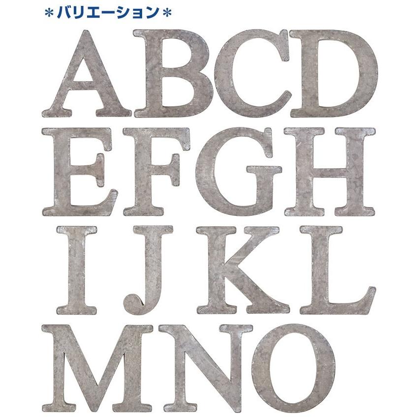 ガルバナイズアルファベット｜pocchione-shuno｜02