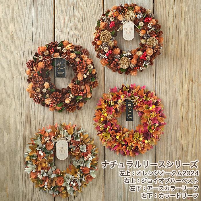 リース フラワーリース 秋 ハロウィン HWナチュラルリース M ミルキー 