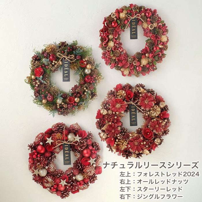 GREEN HOUSE（グリーンハウス） リース フラワーリース 冬 クリスマス