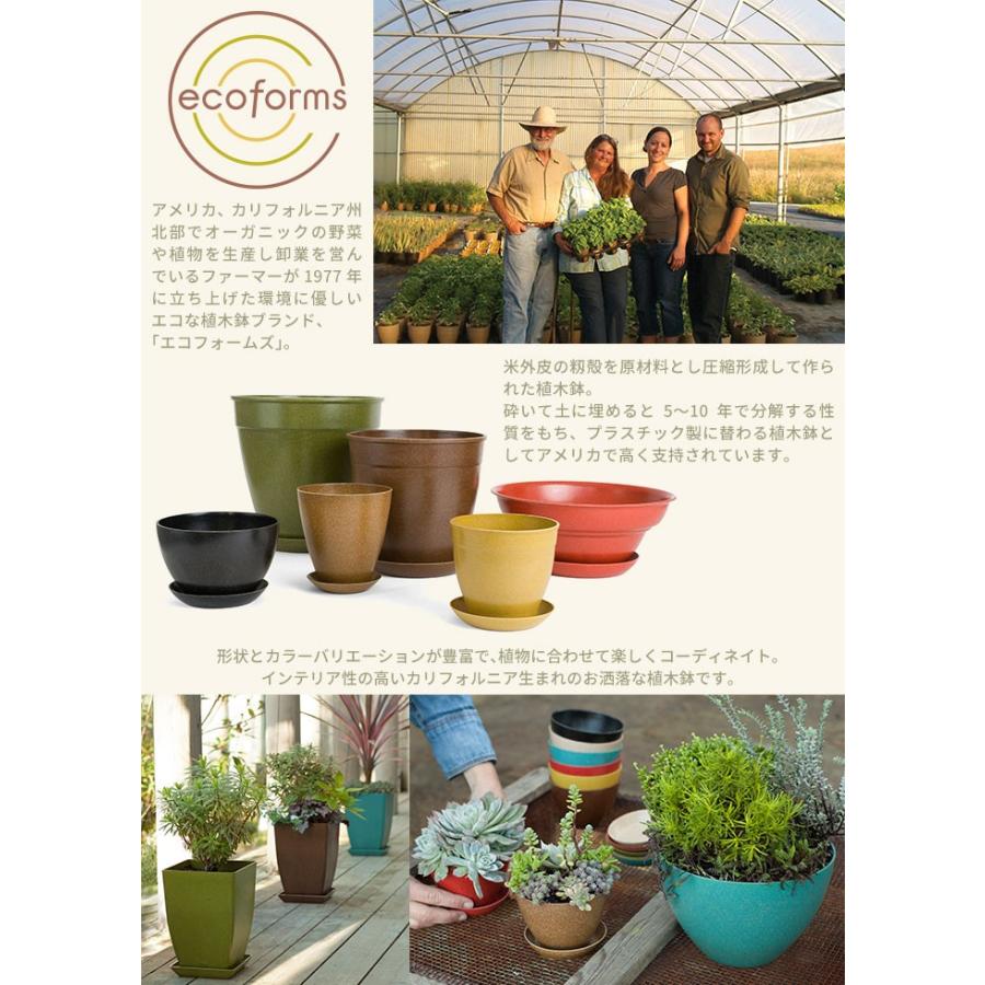 植木鉢 ecoforms（エコフォームズ） ソノマボール Pot Sonoma Bowl SB9｜pocchione｜02