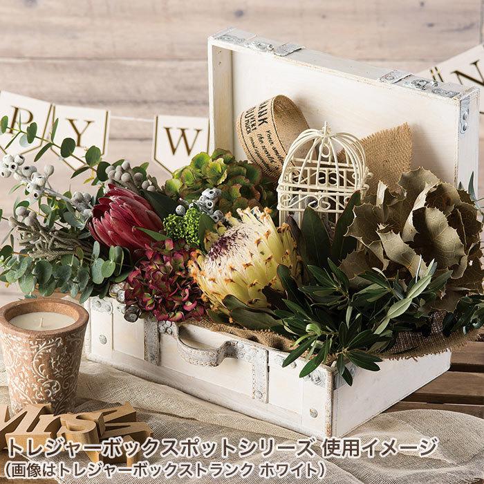 GREEN HOUSE(パソコン) 植木鉢 プランター 寄植え おしゃれ GREEN HOUSE(パソコン) 植木鉢 プランター 寄植え おしゃれ