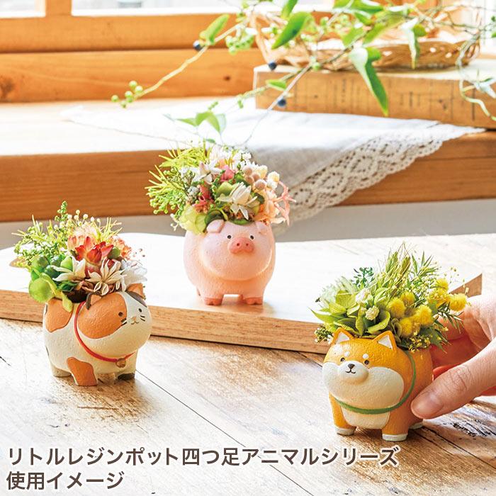 GREEN HOUSE(パソコン) 植木鉢 ミニ かわいい 軽い リトル GREEN HOUSE(パソコン) 植木鉢 ミニ かわいい 軽い リトル