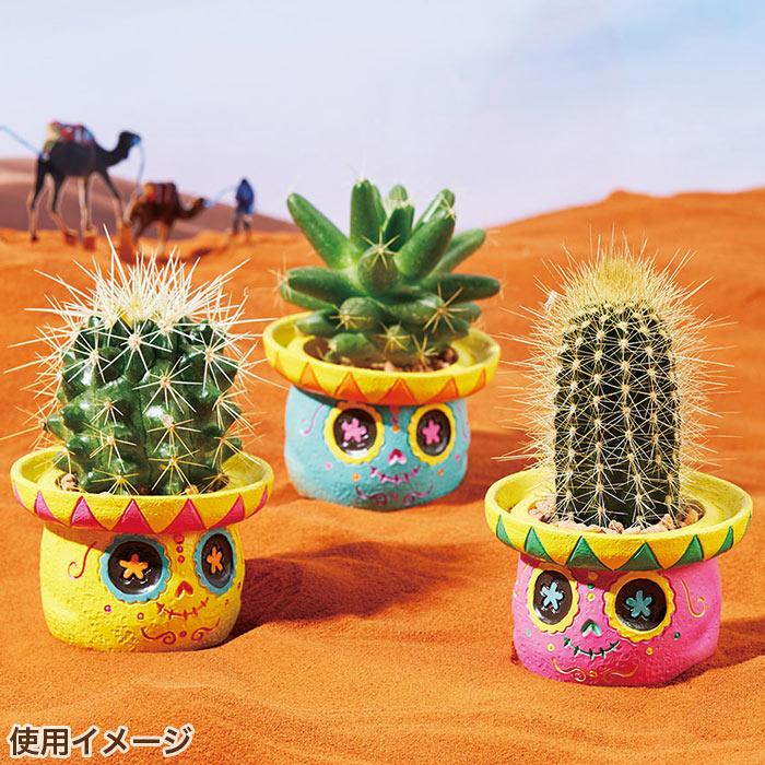 GREEN HOUSE（グリーンハウス） 植木鉢 ミニ かわいい 軽い リトル