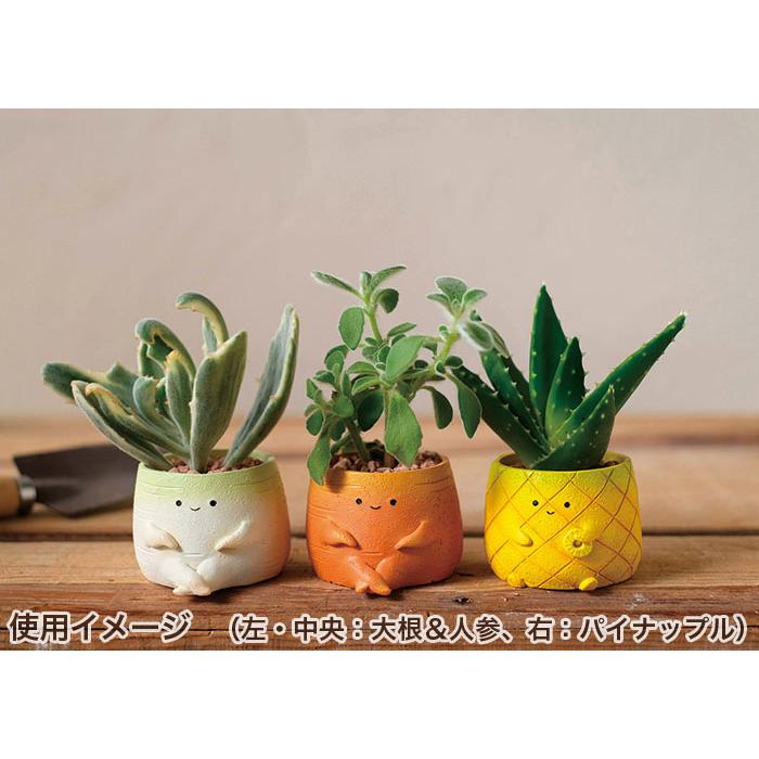 GREEN HOUSE（グリーンハウス） 植木鉢 ミニ かわいい 軽い リトル