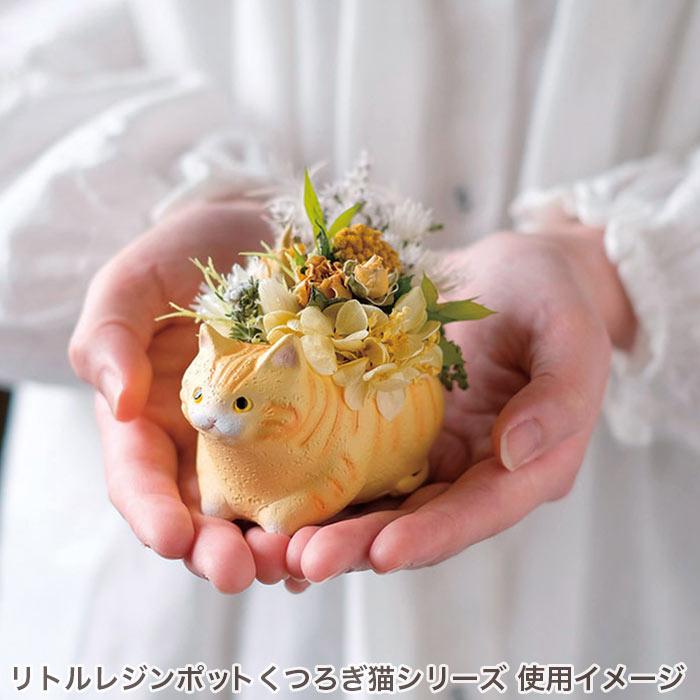 GREEN HOUSE（グリーンハウス） 植木鉢 ミニ かわいい 軽い リトル