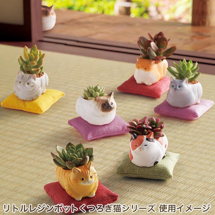 GREEN HOUSE（グリーンハウス） 植木鉢 ミニ かわいい 軽い リトル