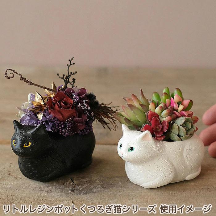 GREEN HOUSE（グリーンハウス） 植木鉢 ミニ かわいい 軽い リトル