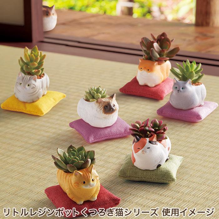 植木鉢 ミニ かわいい 軽い リトルレジンポット くつろぎ猫 マンチカン｜pocchione｜04