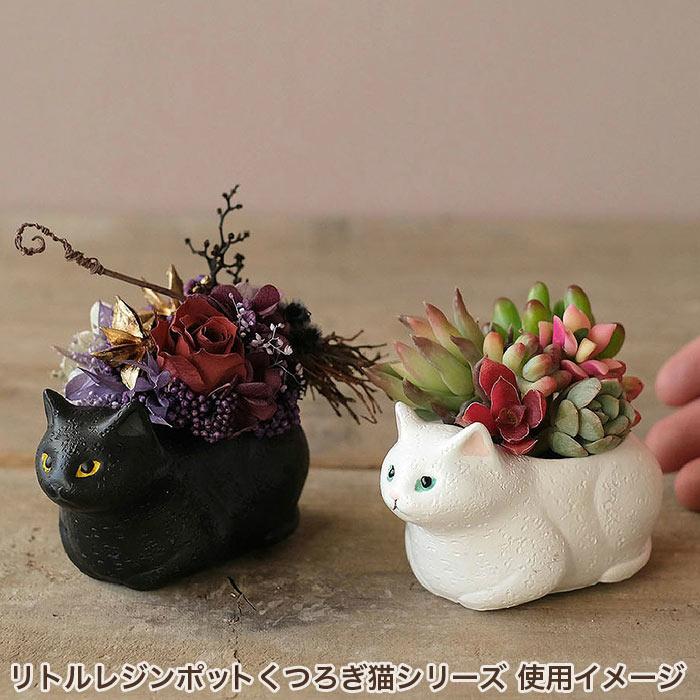 植木鉢 ミニ かわいい 軽い リトルレジンポット くつろぎ猫 マンチカン｜pocchione｜05