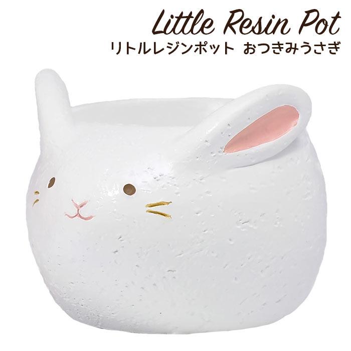 GREEN HOUSE（グリーンハウス） 植木鉢 ミニ かわいい 軽い リトル