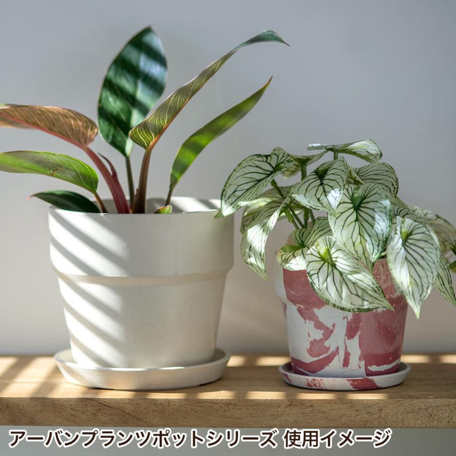 POSH LIVING（ポッシュリビング） 植木鉢 プラスチック おしゃれ 丸型