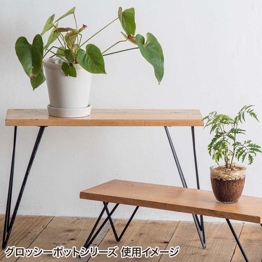 POSH LIVING（ポッシュリビング） 植木鉢 おしゃれ 丸型 穴あき 受け皿