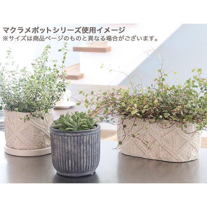 マクラメ ポット おしゃれ ガーデニング テラコッタ プランター ホワイトインテリア ホワイトｌ ボーホー 寄せ植え 植木鉢 鉢 毎日激安特売で 営業中です ホワイトｌ